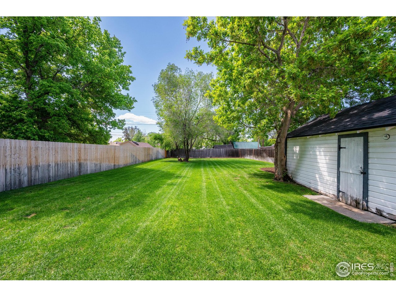 217 Locust Street Windsor, CO 80550 - Photo 26 of 40 a view of a backyard with a garden