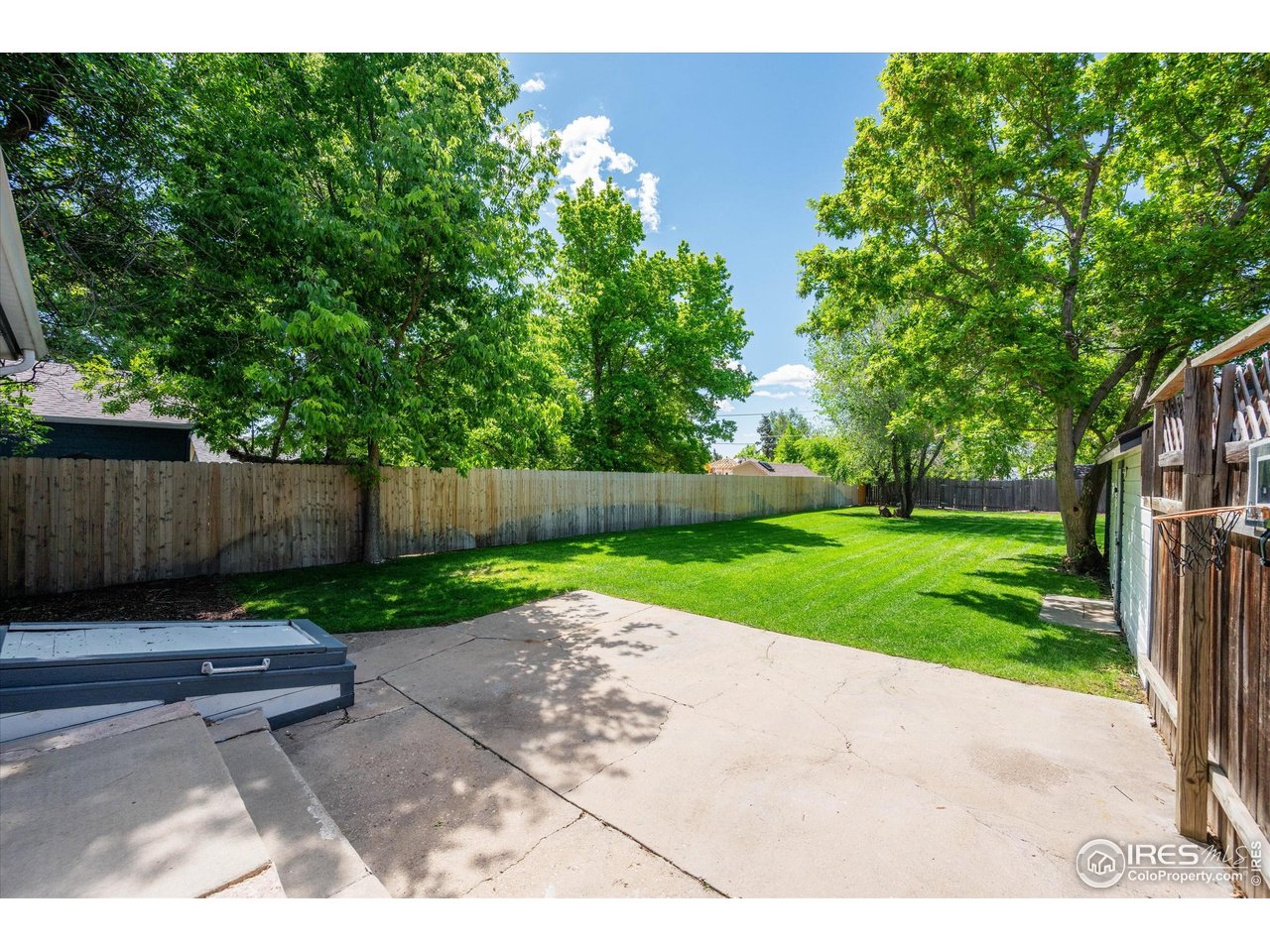 217 Locust Street Windsor, CO 80550 - Photo 29 of 40 a view of a backyard with a garden