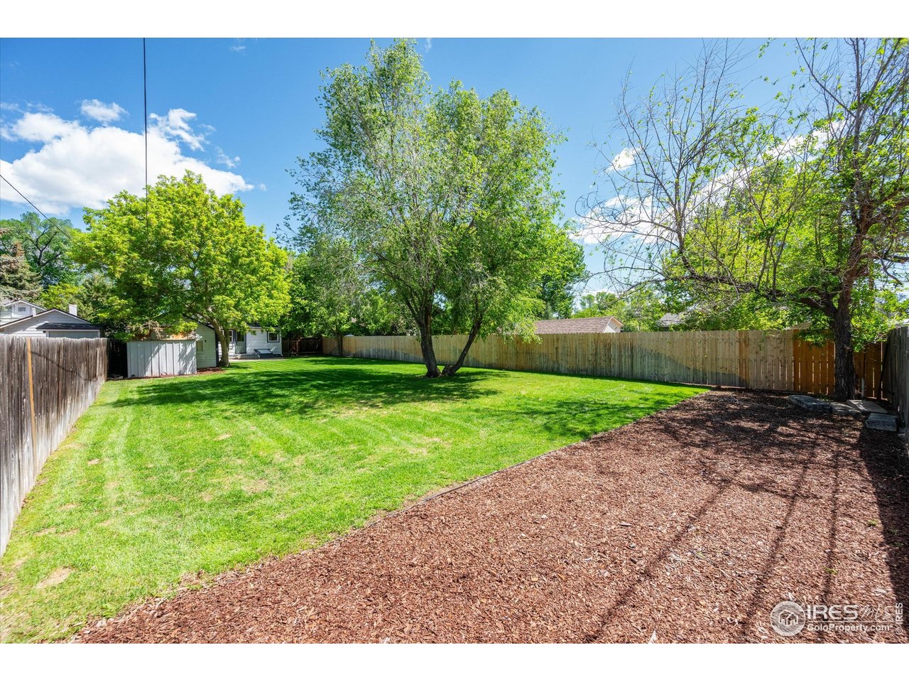 217 Locust Street Windsor, CO 80550 - Photo 33 of 40 a view of a yard with plants and large trees