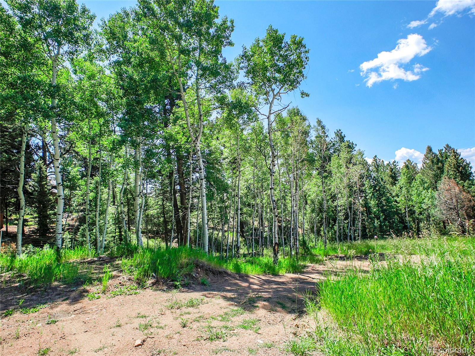12286 South Styve Road Conifer, CO 80433 - Photo 8 of 29 Gallery Image 8