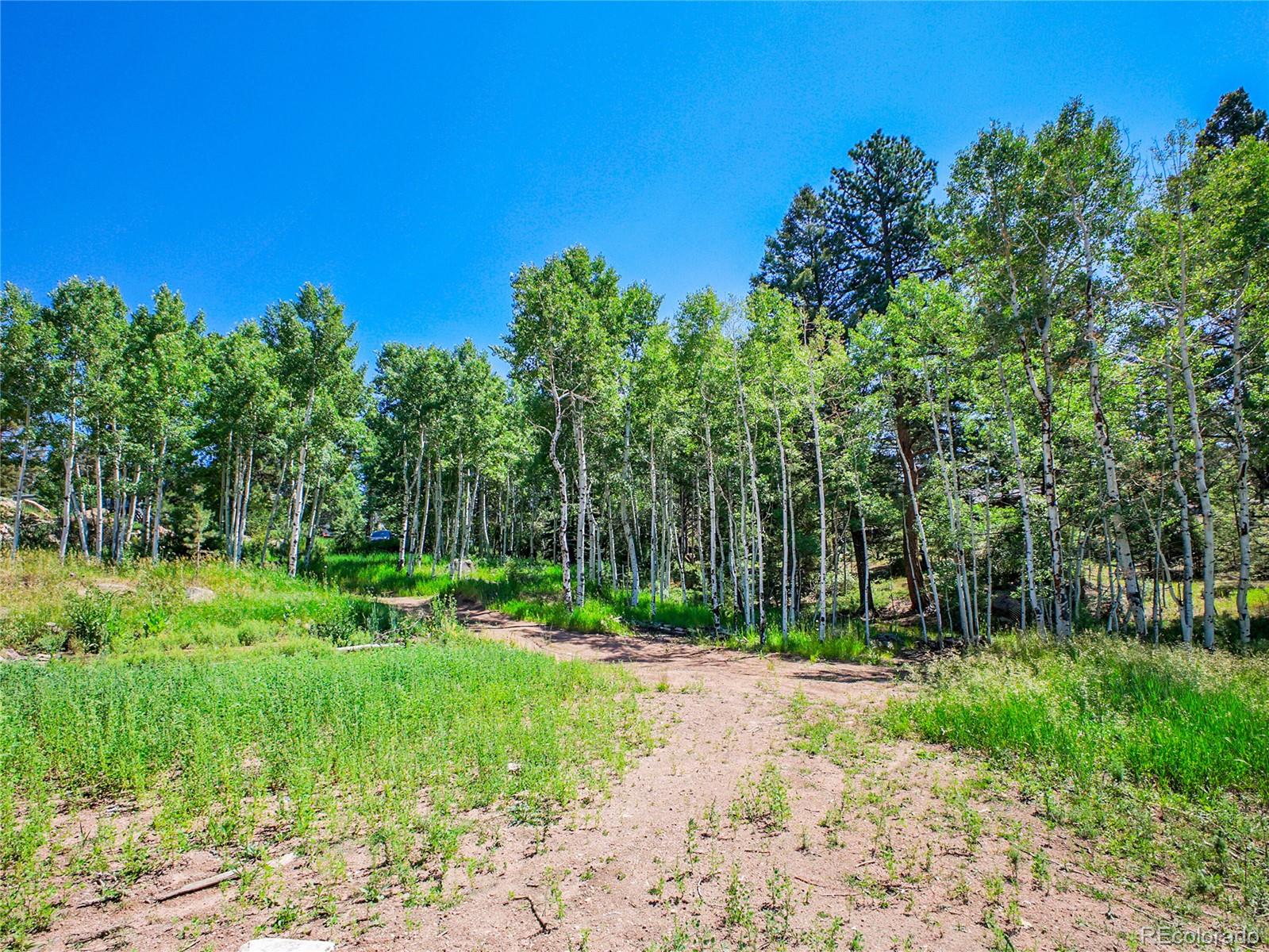 12286 South Styve Road Conifer, CO 80433 - Photo 10 of 29 Gallery Image 10