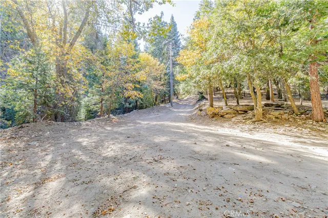 $7,000 | 0 Alder Creek Road, Cedarpines Park, CA 92322