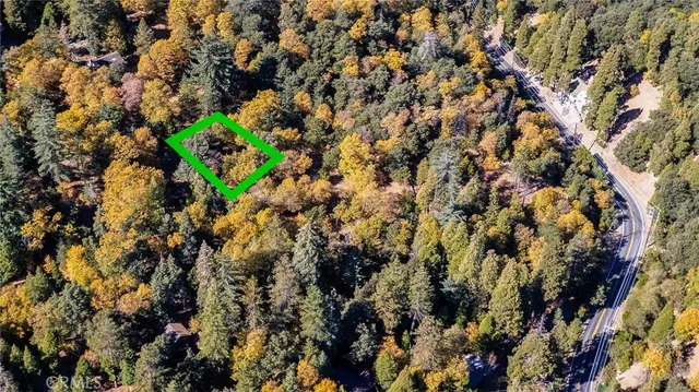 $7,000 | 0 Alder Creek Road, Cedarpines Park, CA 92322