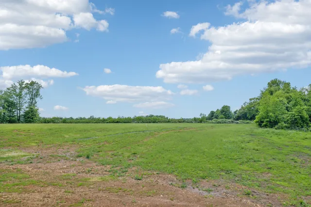 a view of a big yard with a large trees