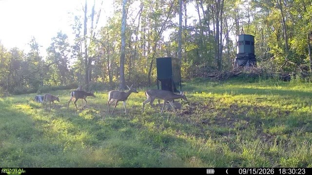 Spence Hill Road Caldwell, OH 43724 - Photo 37 of 49 Gallery Image 37