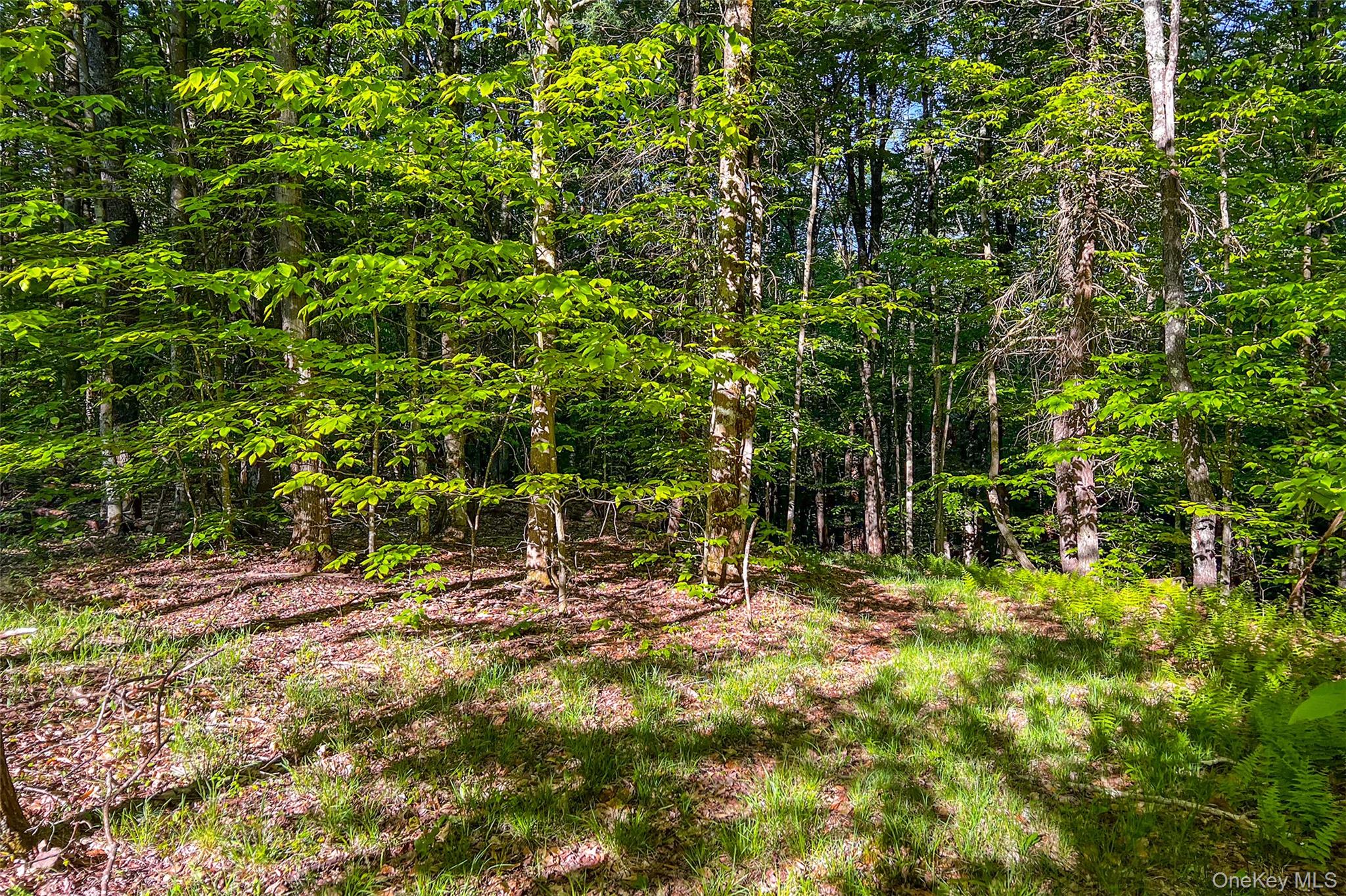 Frank Slawson Road Oneonta, NY 13820 - Photo 29 of 30 Gallery Image 29