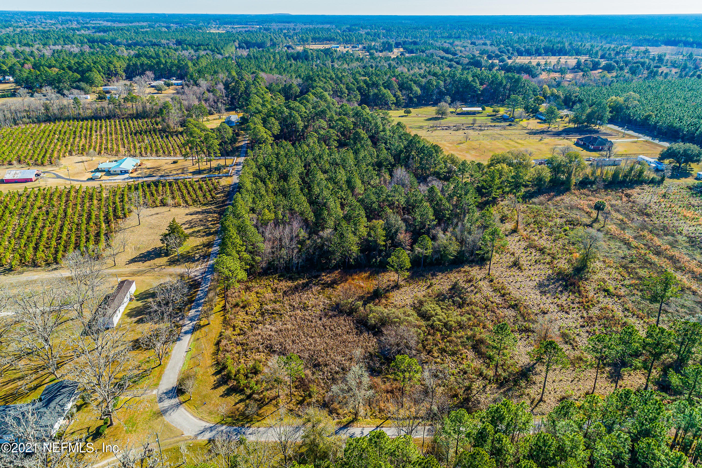 0 Ira Starling Road Macclenny, FL 32063 - Photo 5 of 18 ZJP - ISR -5