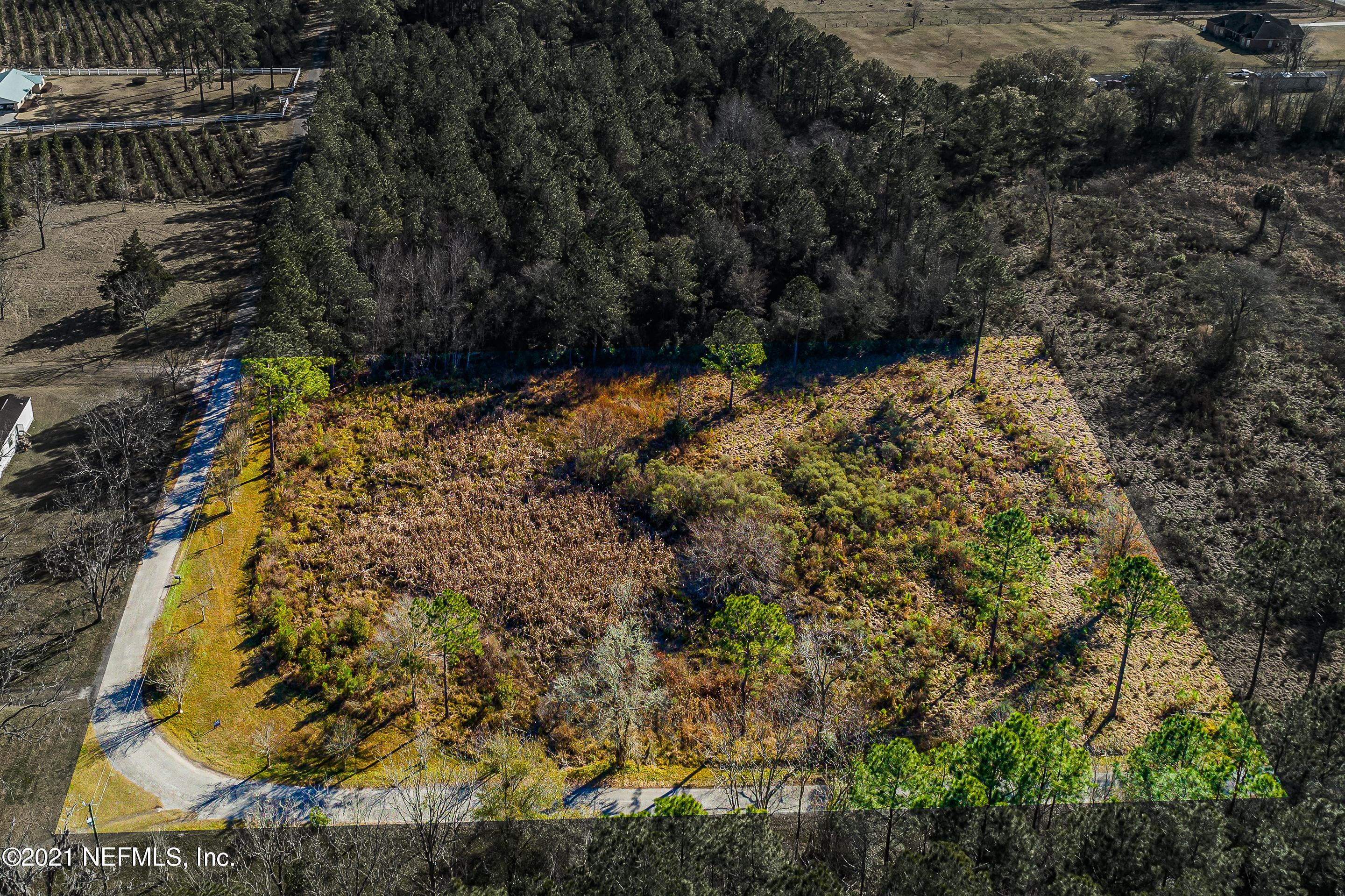 0 Ira Starling Road Macclenny, FL 32063 - Photo 6 of 18 ZJP - ISR -6