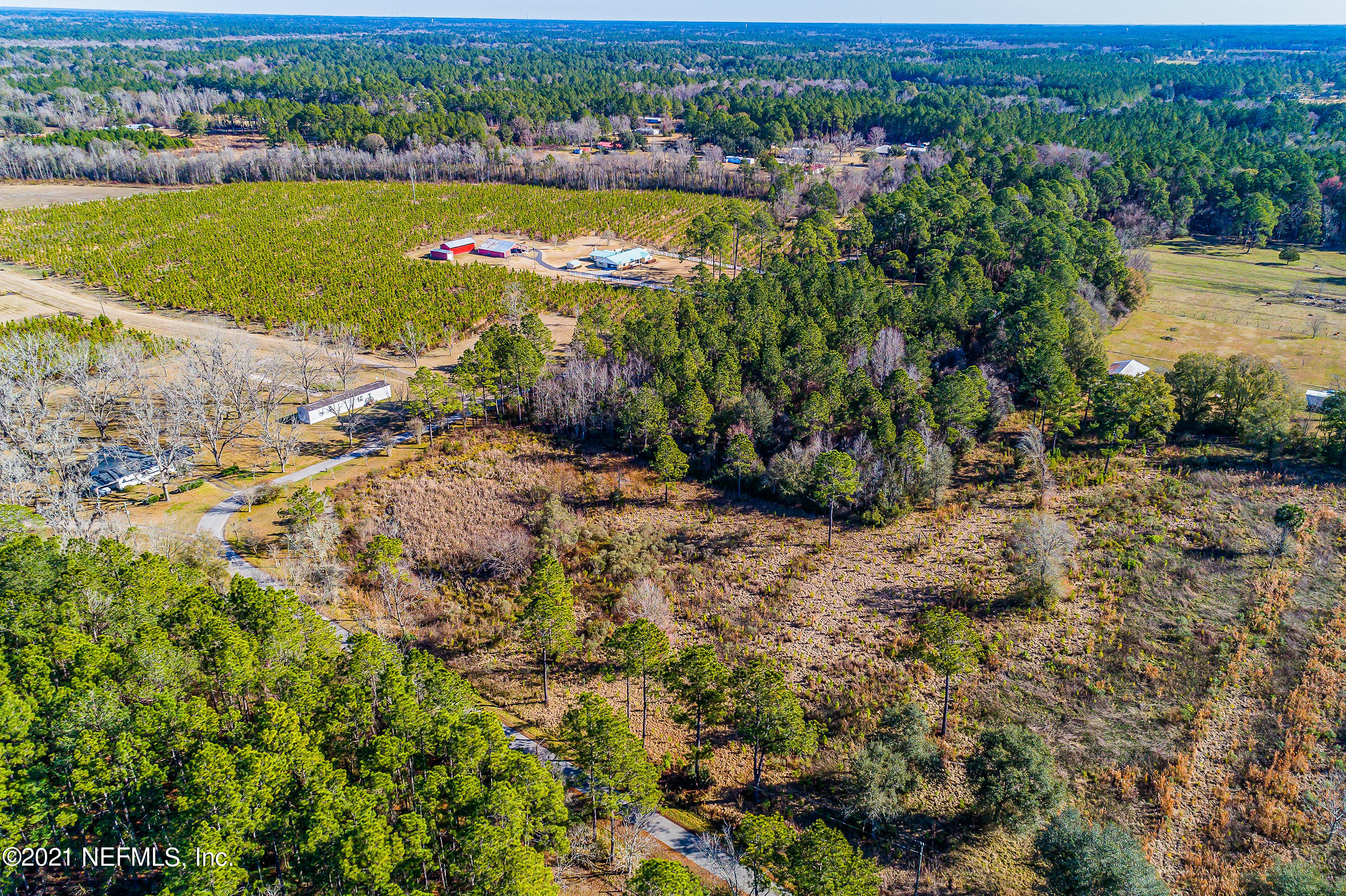 0 Ira Starling Road Macclenny, FL 32063 - Photo 7 of 18 ZJP - ISR -7