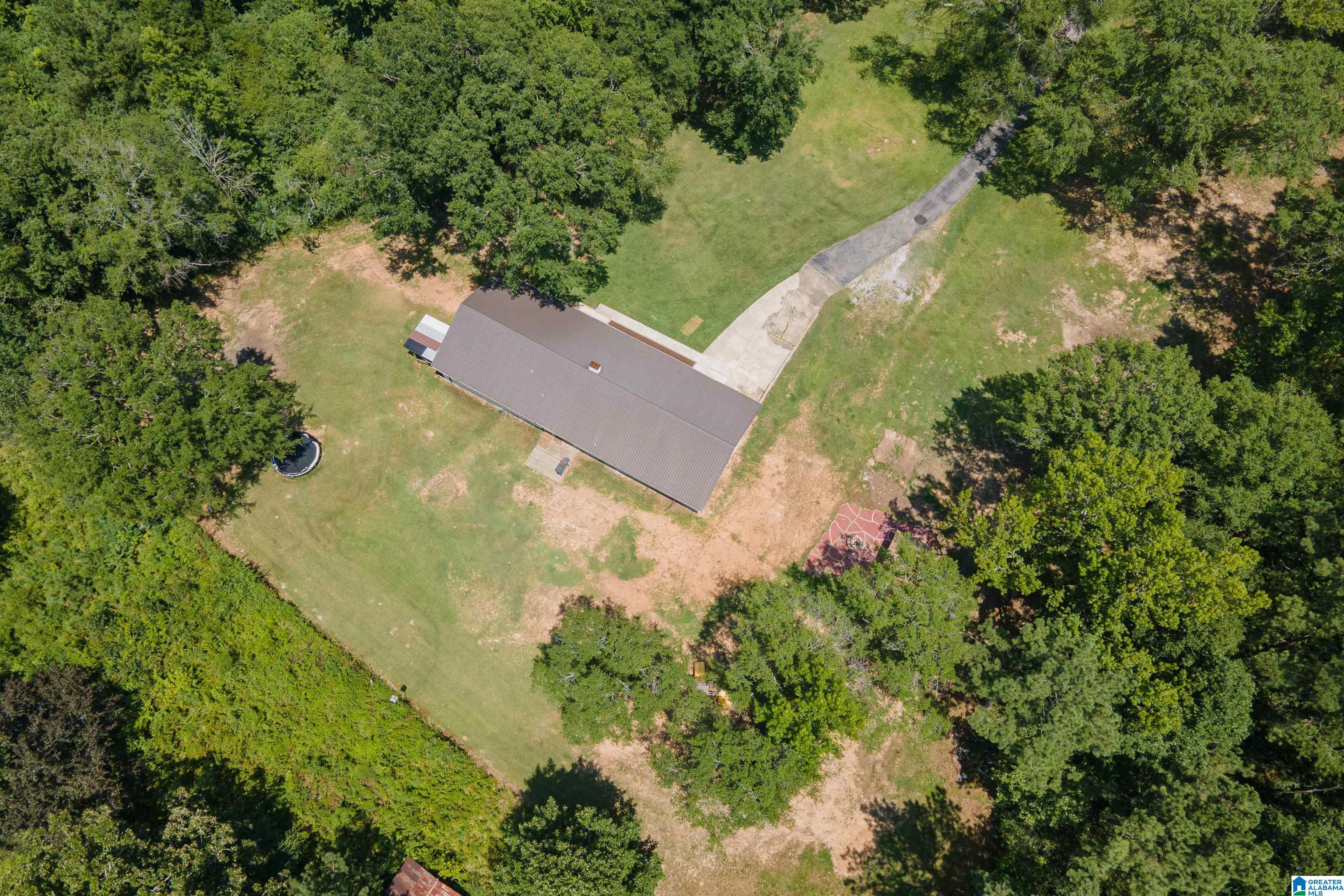 3419 Old Coal City Road Pell City, AL 35125 - Photo 46 of 47
