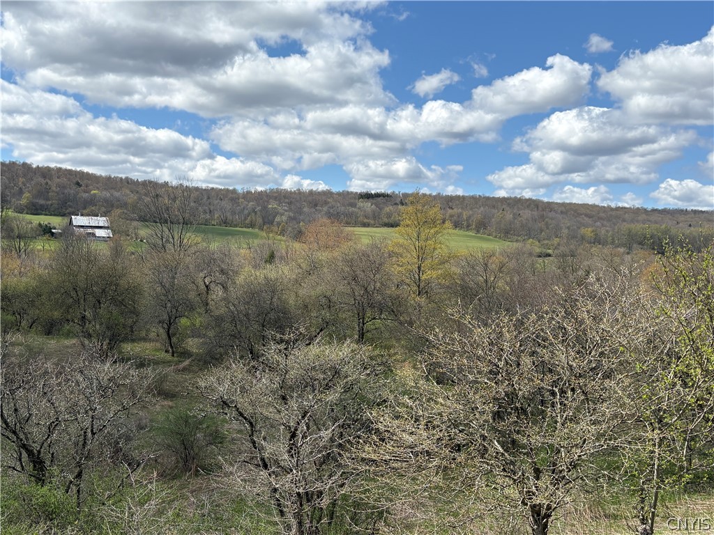 3838 Union Valley Road Taylor, NY 13052 - Photo 12 of 14 View of 3838 Union Valley Rd parcels (immediate ri
