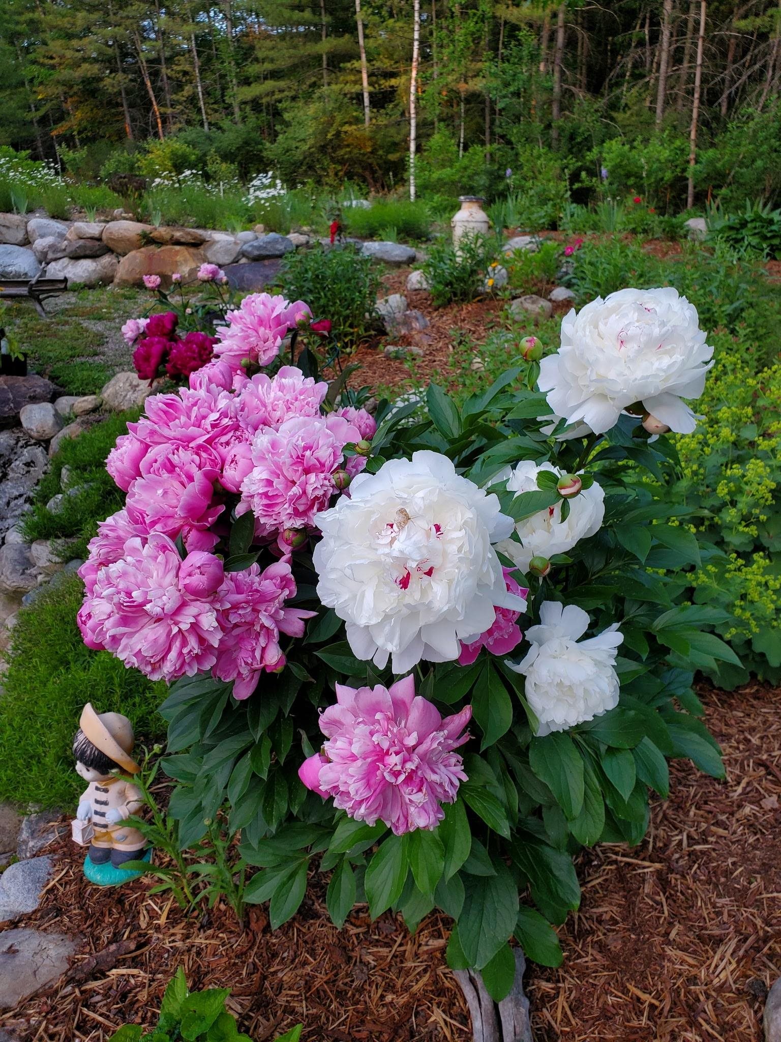 2058 East Clarendon Road Clarendon, VT 05759 - Photo 40 of 42 Gallery Image 40