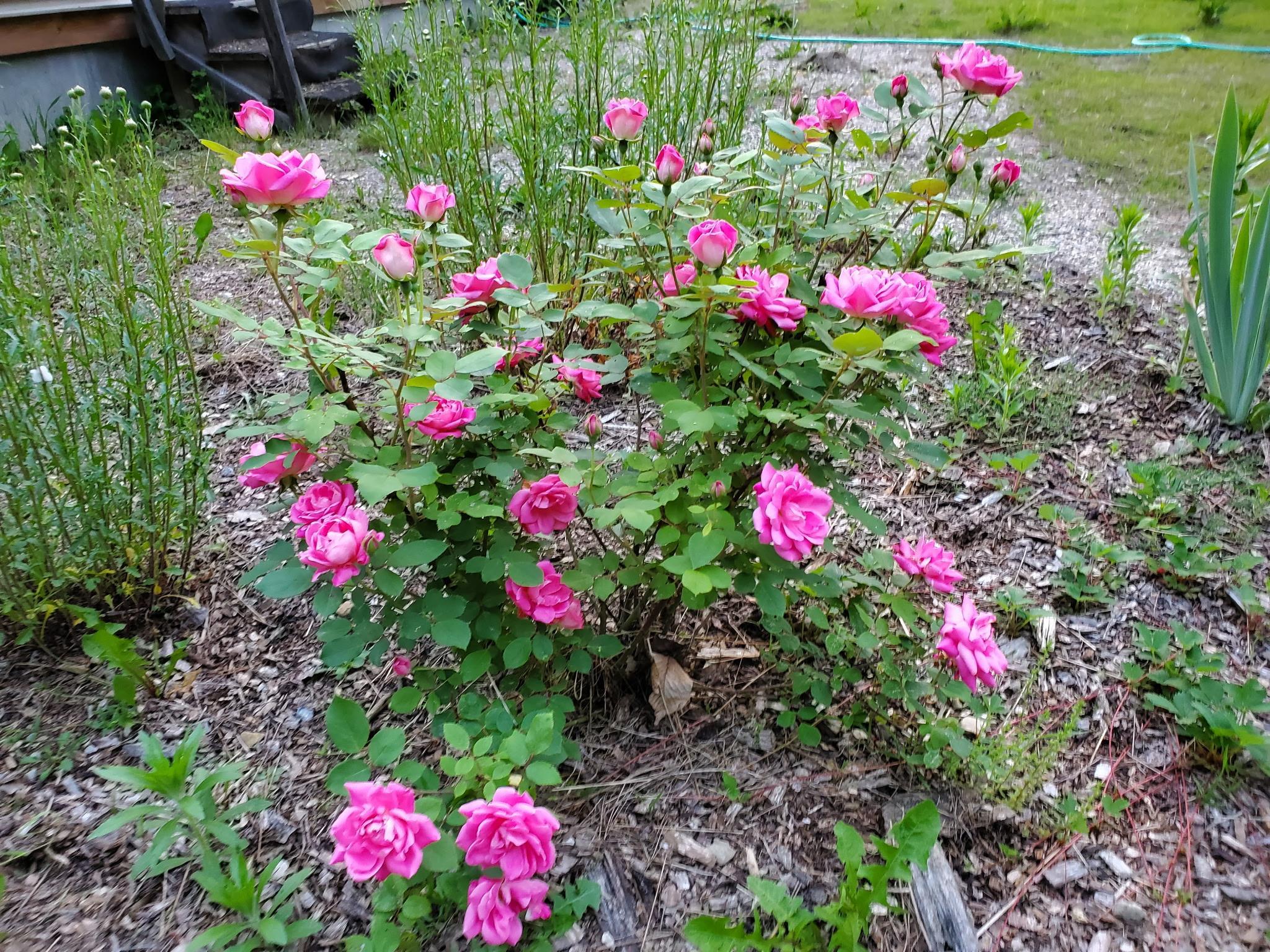 2058 East Clarendon Road Clarendon, VT 05759 - Photo 4 of 42 Gallery Image 4