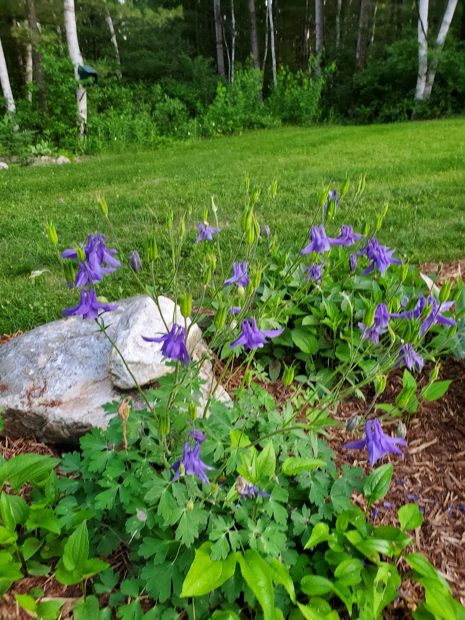 2058 East Clarendon Road Clarendon, VT 05759 - Photo 41 of 42 Gallery Image 41