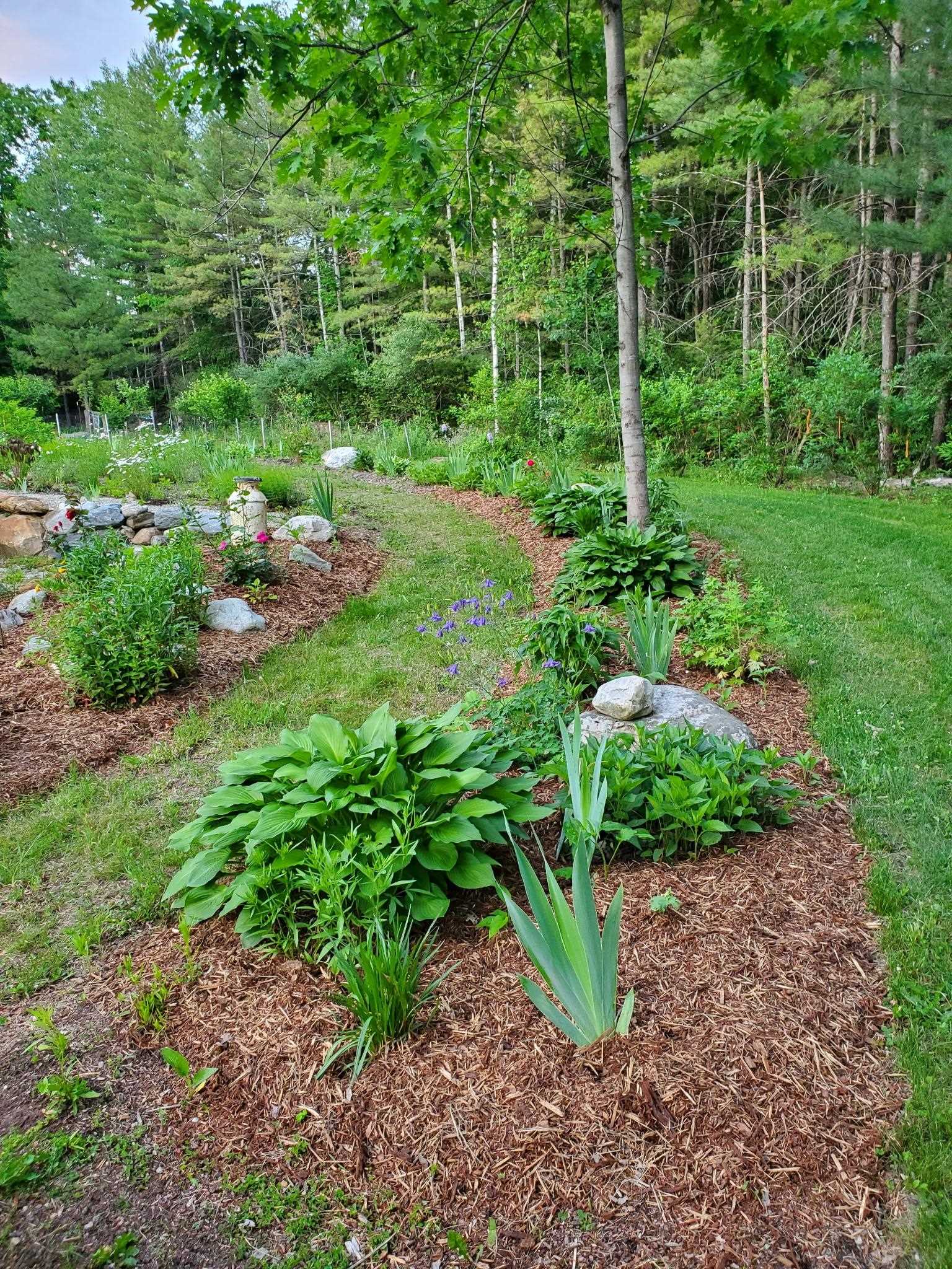 2058 East Clarendon Road Clarendon, VT 05759 - Photo 42 of 42 Gallery Image 42