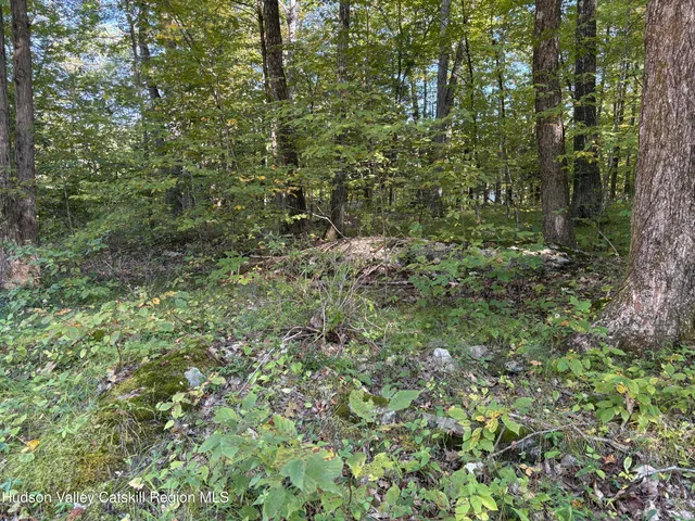 a view of outdoor space and a yard