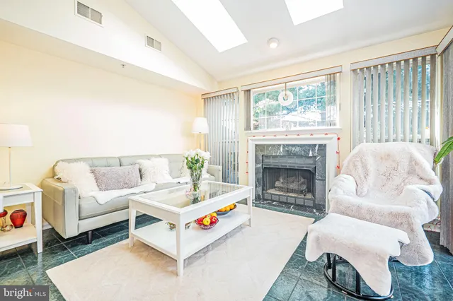 a living room with a potted plant couches a fireplace and a potted plant