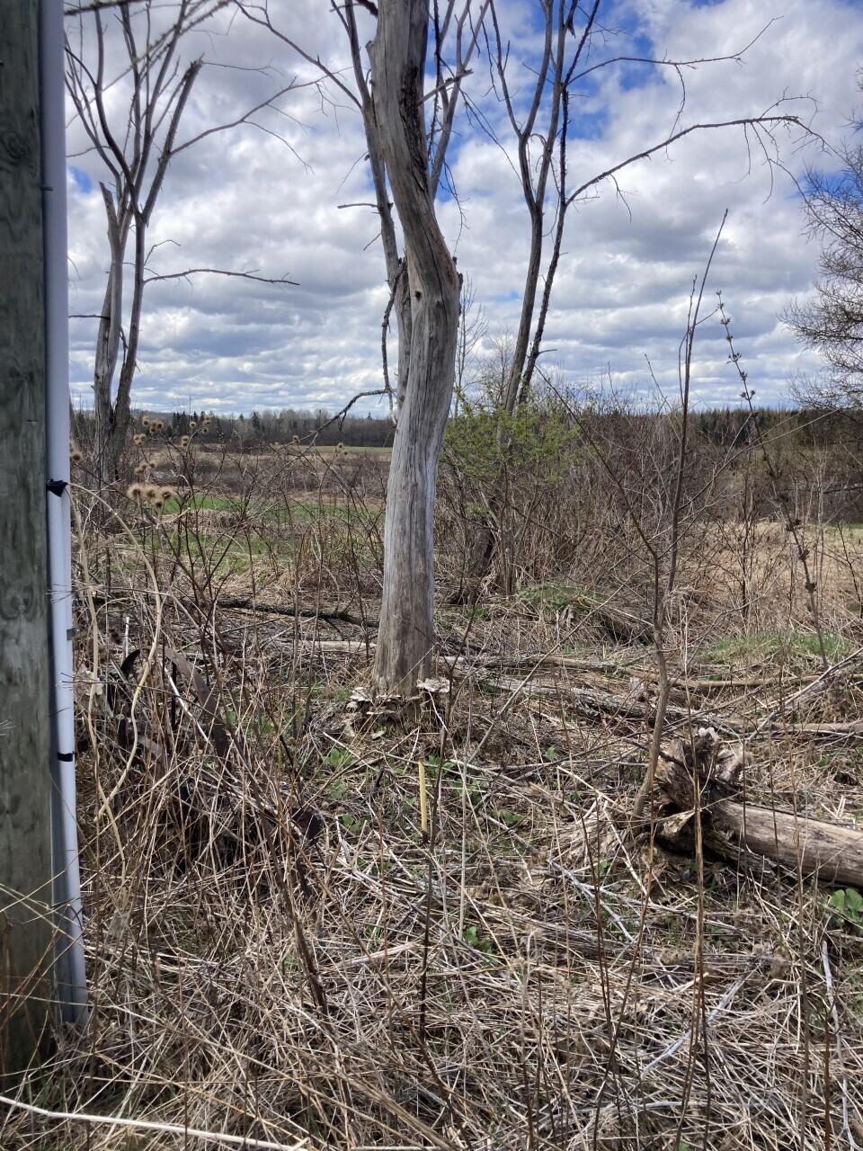 Lot #6 Garfield Road Ashland, ME 04732 - Photo 11 of 21 ARV 14