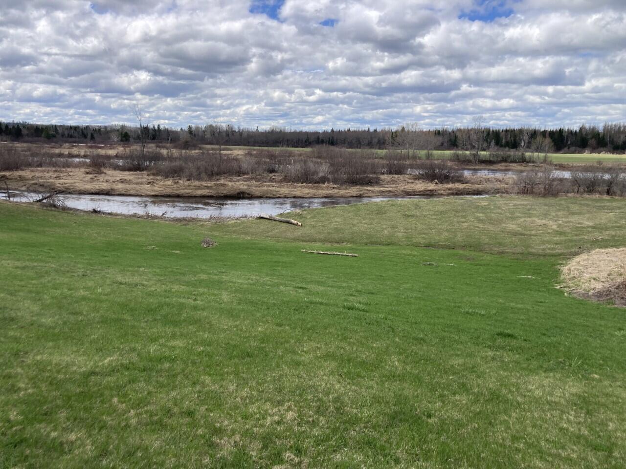 Lot #6 Garfield Road Ashland, ME 04732 - Photo 12 of 21 Looking at boundary with island in BG