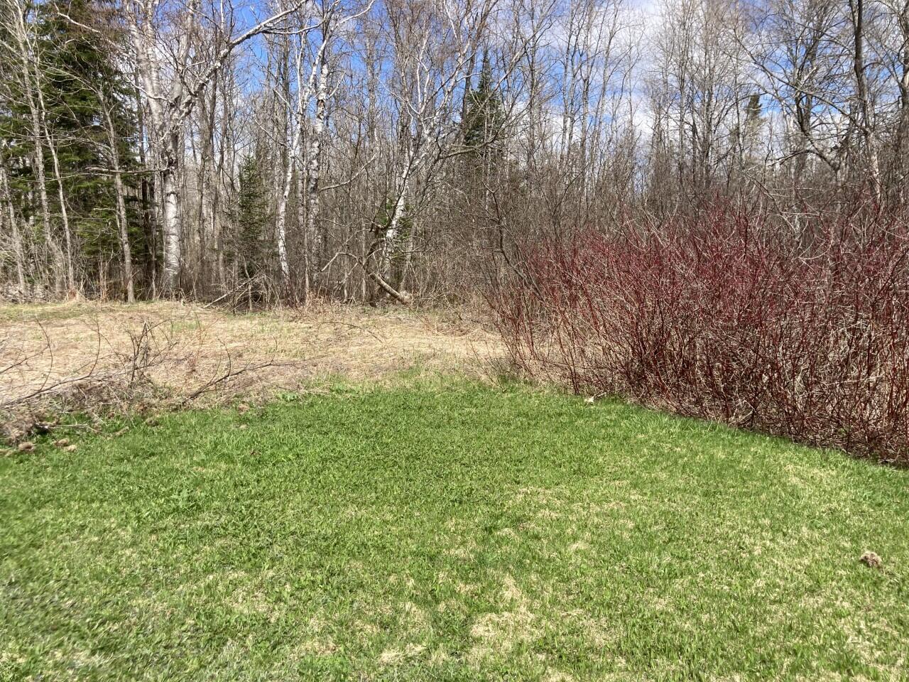 Lot #6 Garfield Road Ashland, ME 04732 - Photo 19 of 21 Possible site for camp
