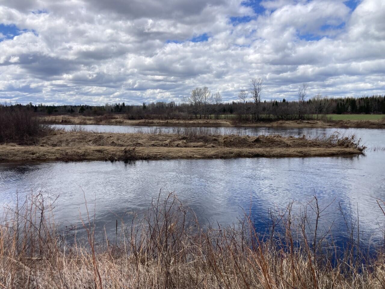 Lot #6 Garfield Road Ashland, ME 04732 - Photo 4 of 21 ARV 5