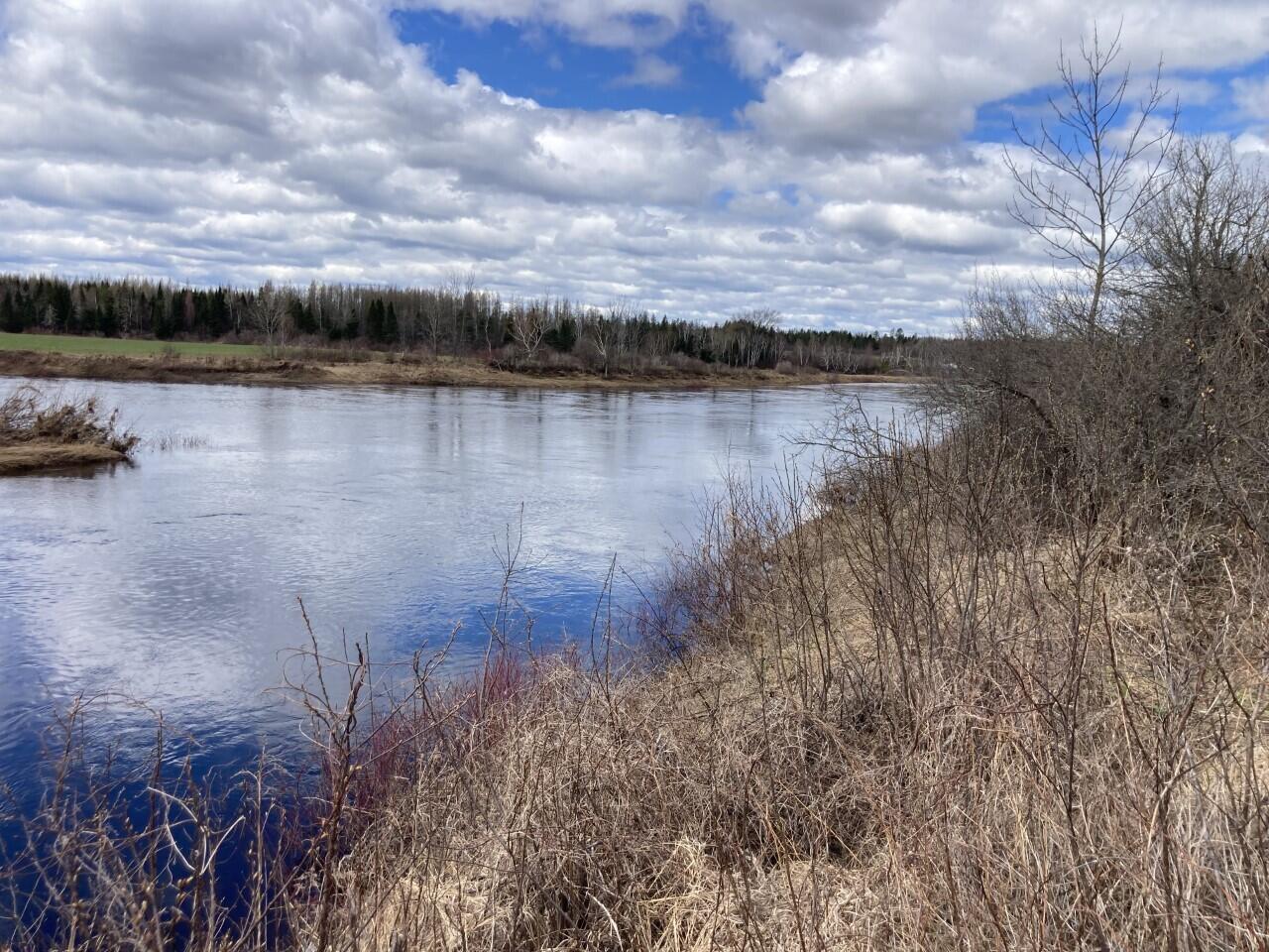 Lot #6 Garfield Road Ashland, ME 04732 - Photo 6 of 21 Looking downstream