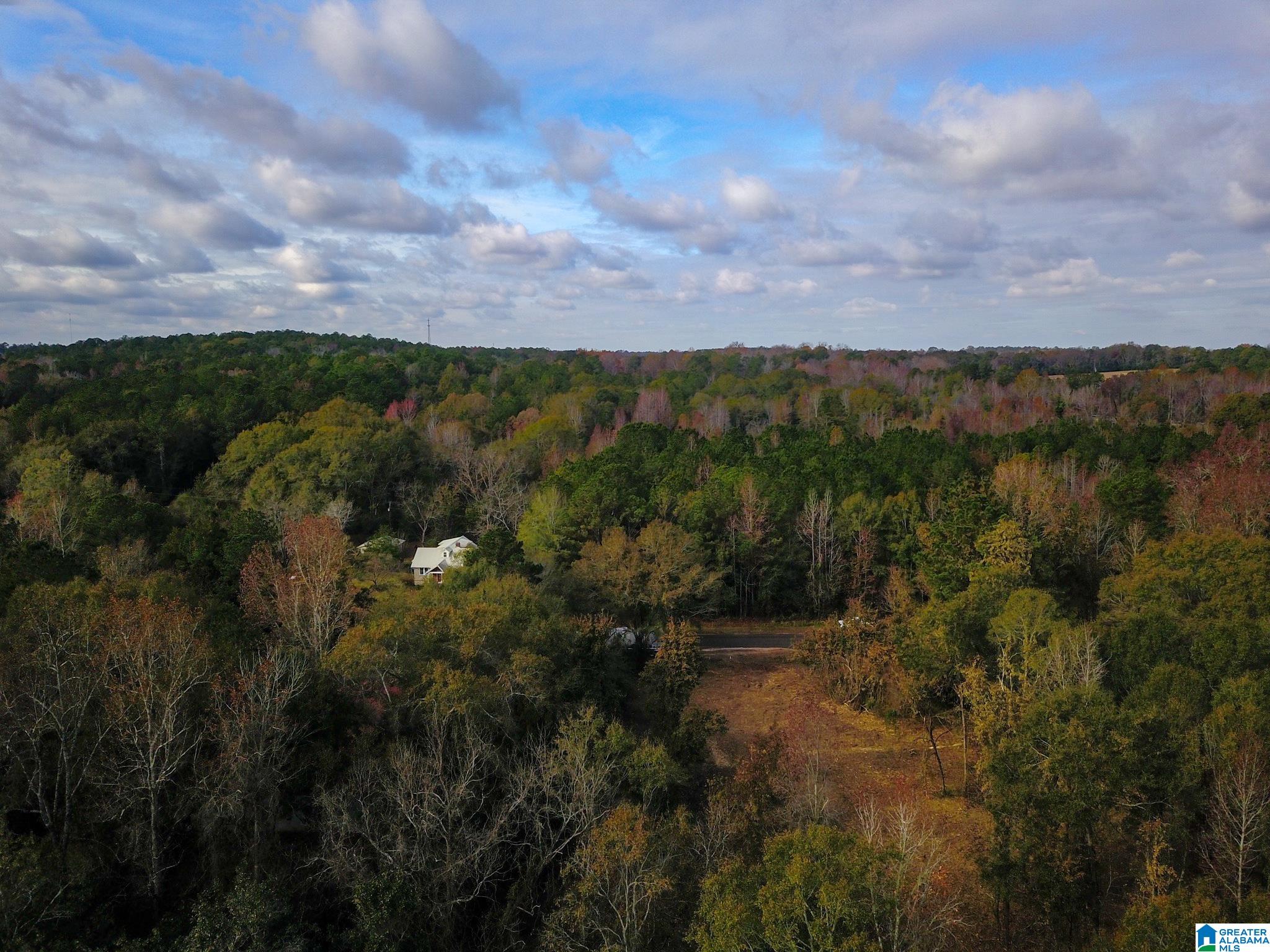 0 Midway Road Tuskegee, AL 36083 - Photo 17 of 30