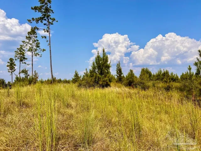 $175,000 | Lot 22 Morgans Branch, Molino, FL 32577