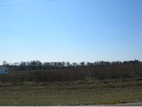 5 Mark Walden Road Hephzibah, GA 30815 - Photo 1 of 1 Main View