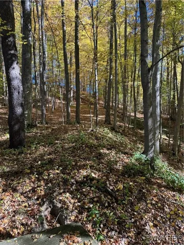 $85,000 | 587 Schoellkopf Road, Bennington, NY 14037