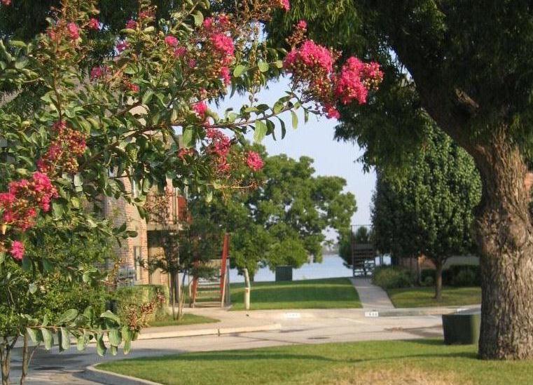 2026 Signal Ridge Place Rockwall, TX 75032 - Photo 28 of 31