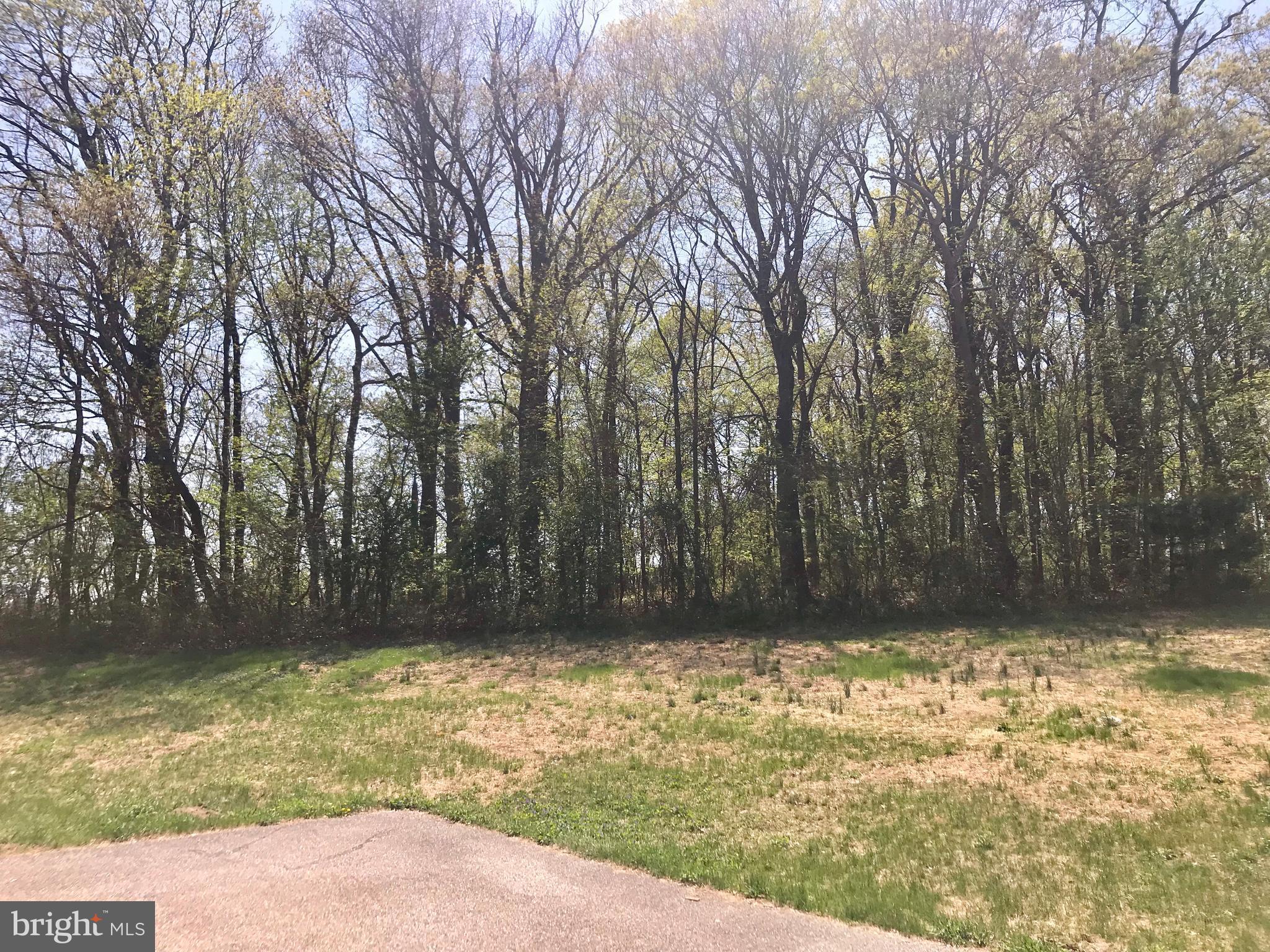 3708 Ady Road Street, MD 21154 - Photo 9 of 23 Exterior (General)