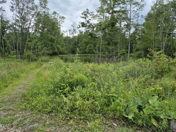 Ridge Road Hooversville, PA 15936 - Photo 20 of 23 Gallery Image 20
