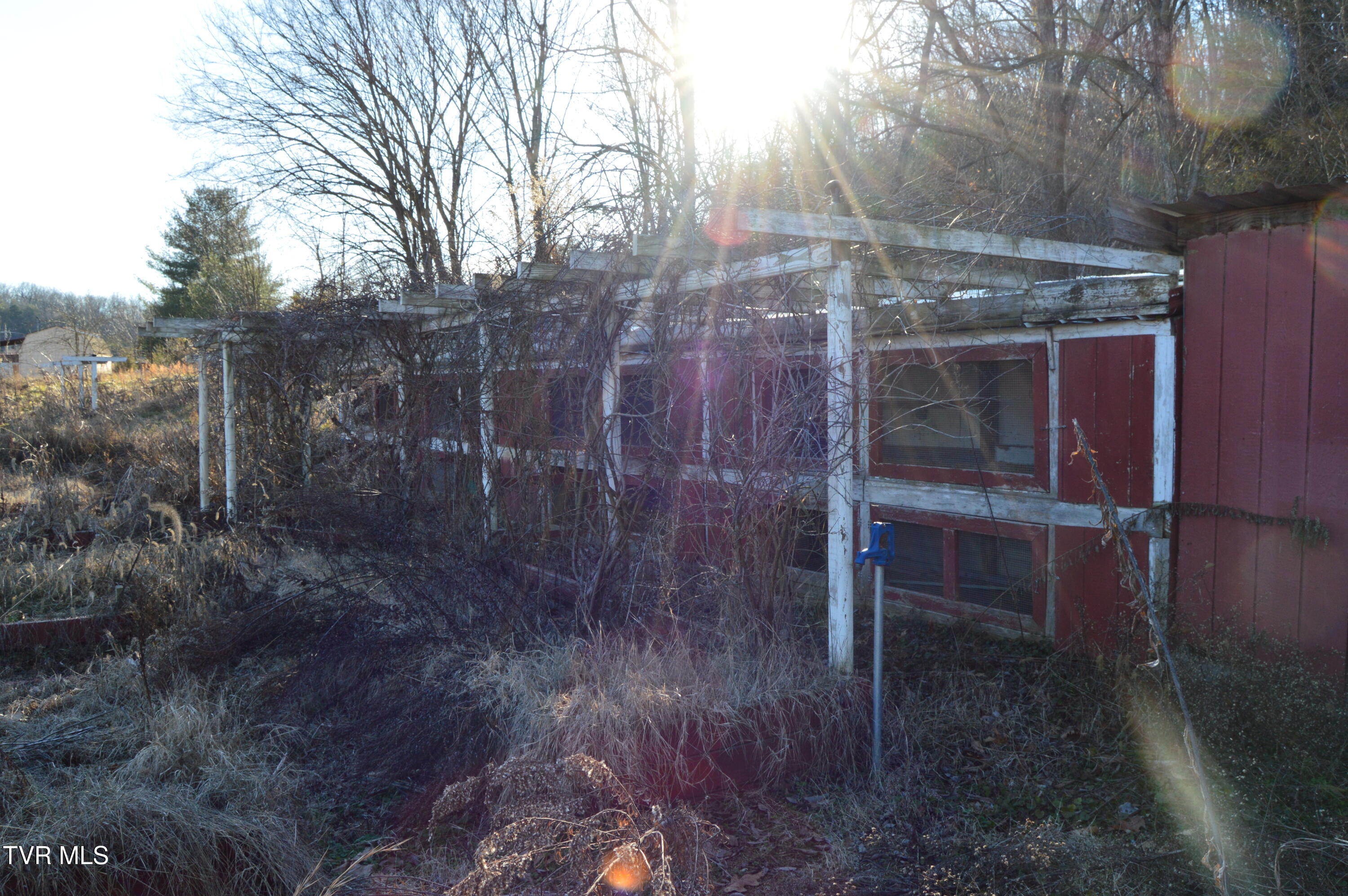 1663 Barkley Road Greeneville, TN 37745 - Photo 21 of 27 DSC_0358