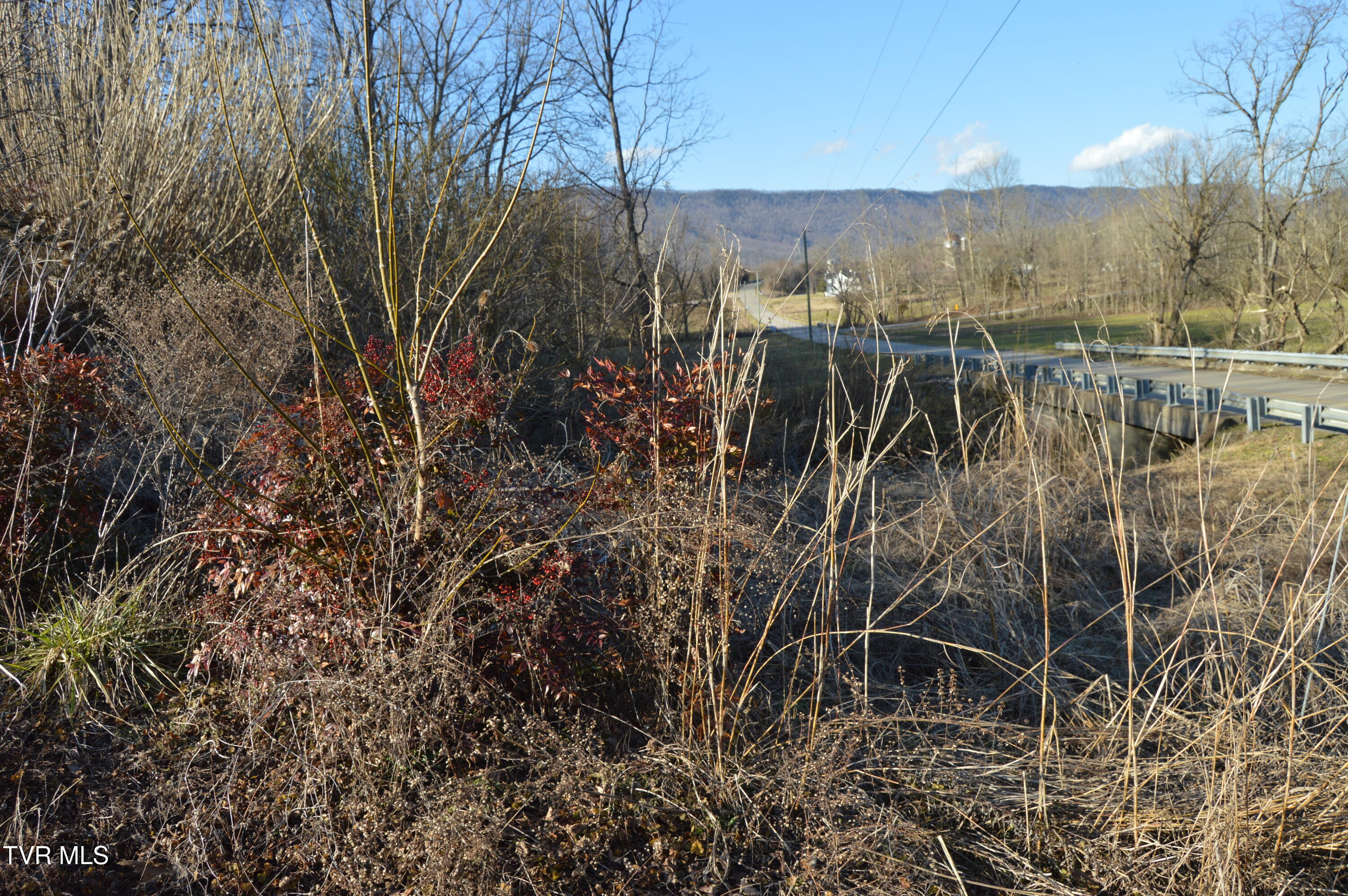1663 Barkley Road Greeneville, TN 37745 - Photo 23 of 27 DSC_0363