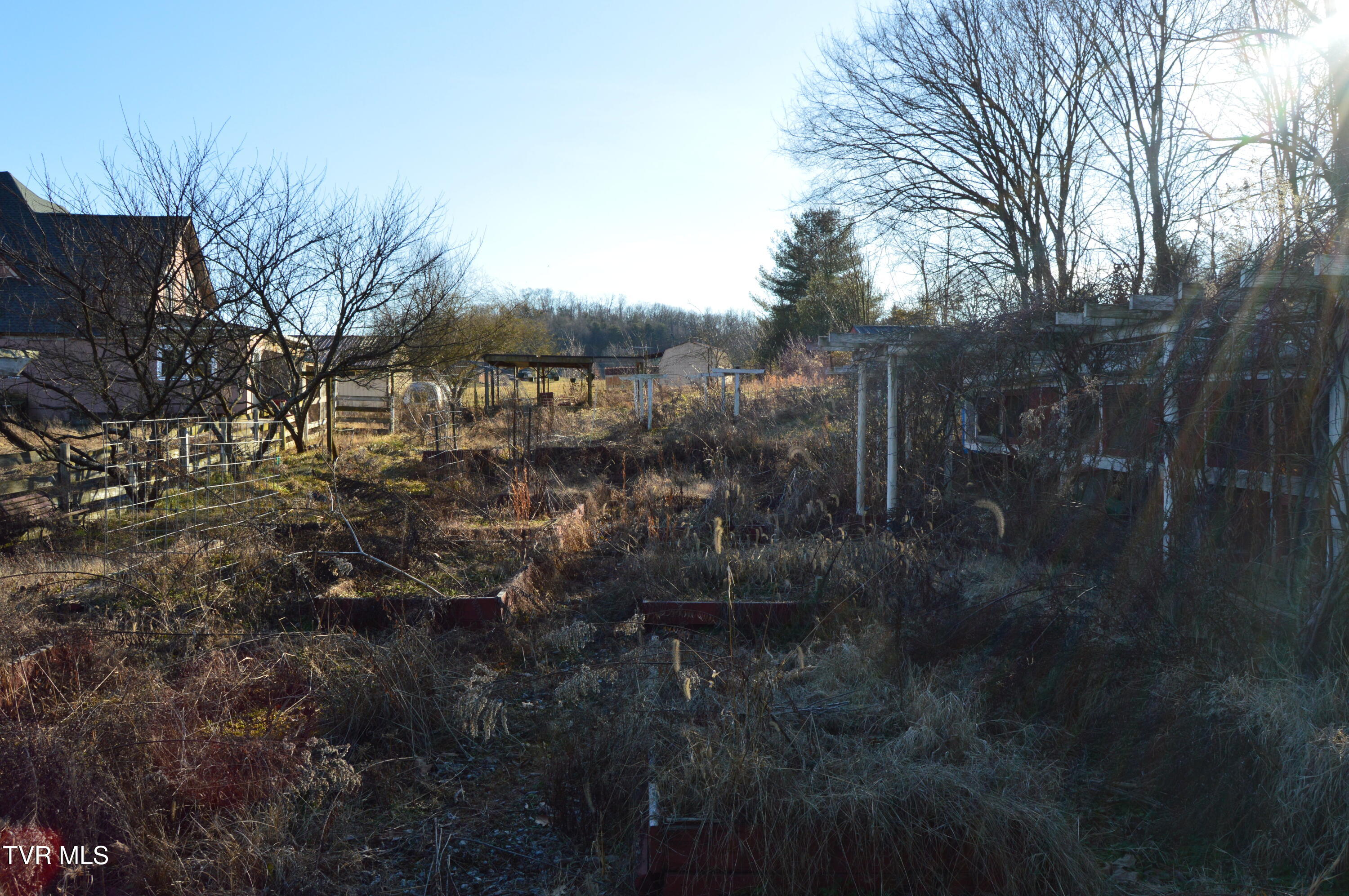 1663 Barkley Road Greeneville, TN 37745 - Photo 5 of 27 DSC_0359