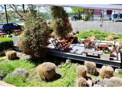 a bunch of trees sitting in a yard