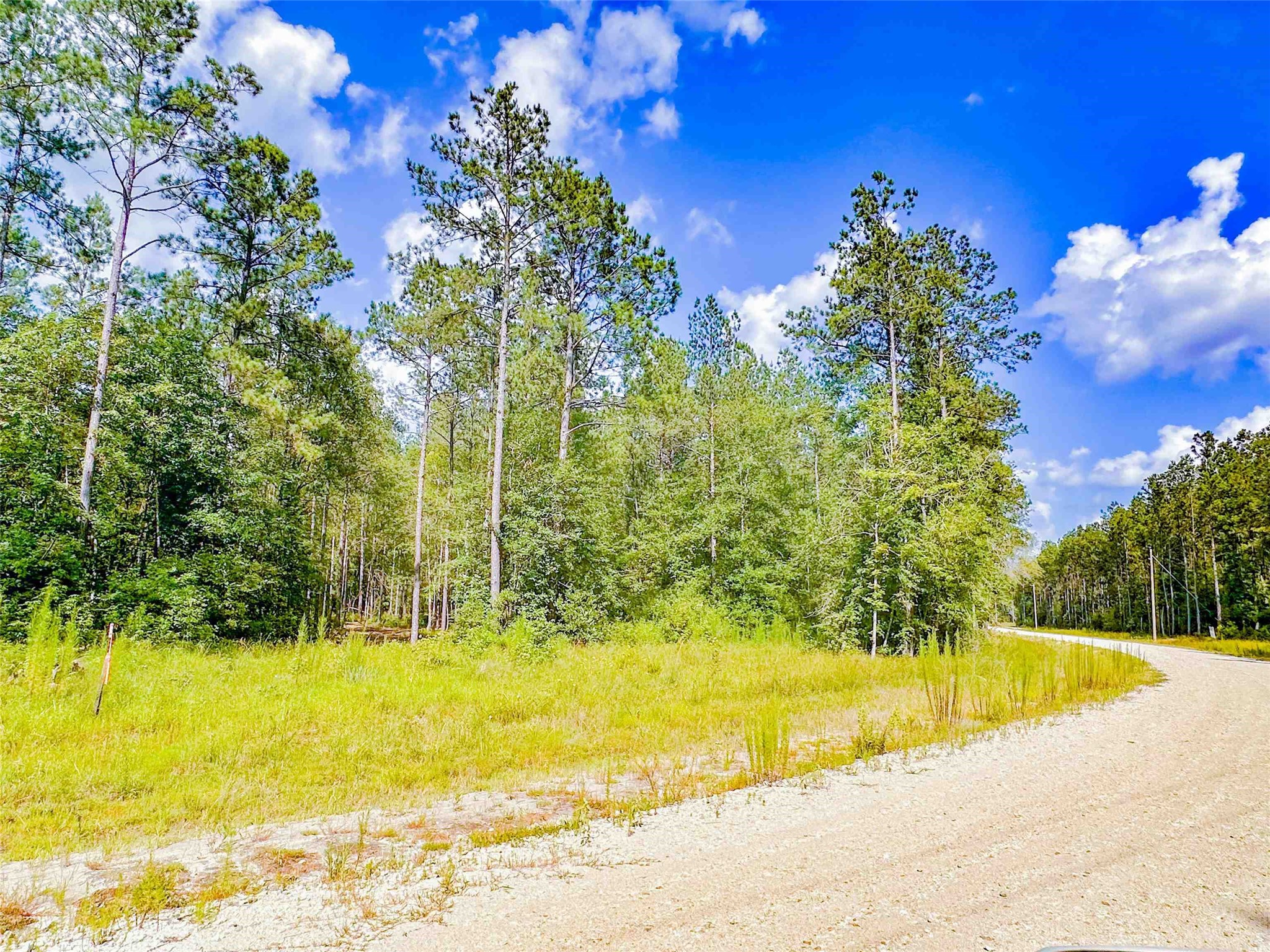 9010 Carter Ranch Road Kountze, TX 77625 - Photo 8 of 8 Gallery Image 8