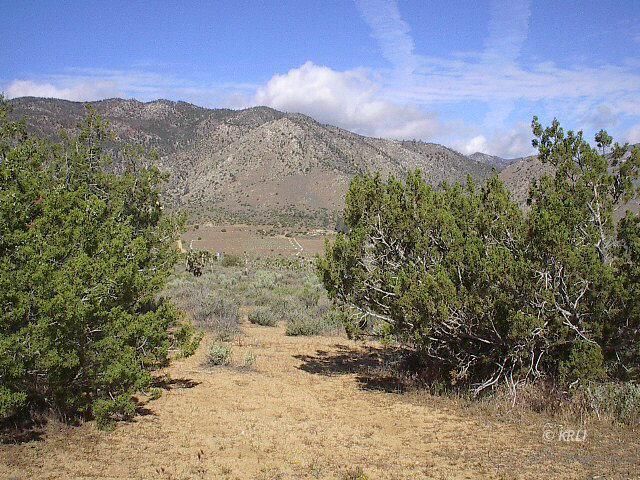 7730003 South Lobo Road Weldon, CA 93283 - Photo 8 of 8