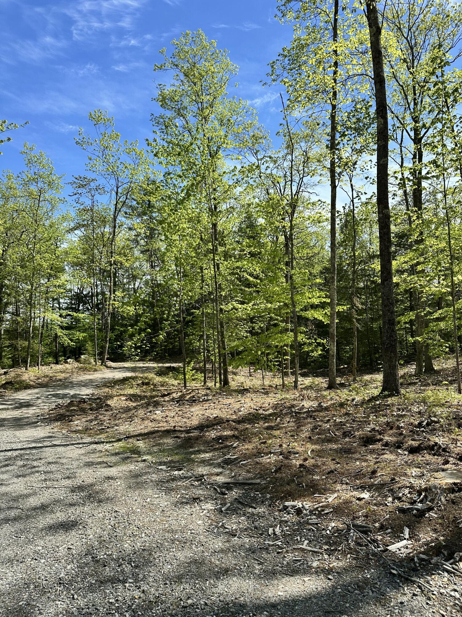 19 Grist Mill Road Naples, ME 04055 - Photo 20 of 31 Beautiful Sunlight