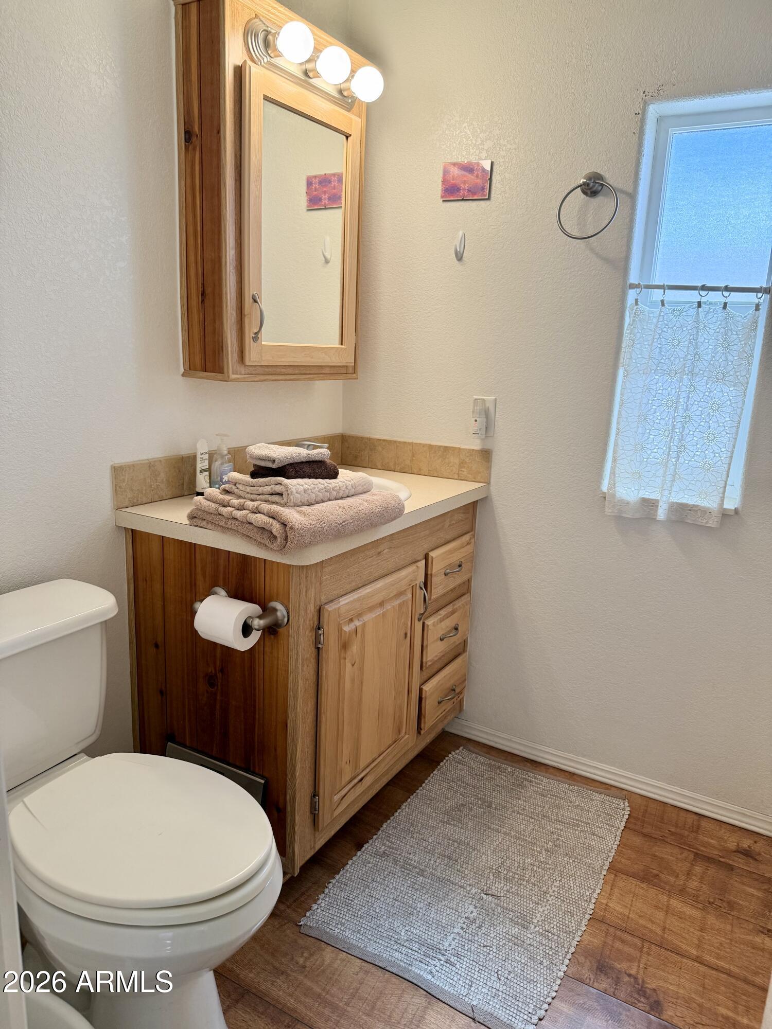 7750 East Broadway Road, Unit 197 Mesa, AZ 85208 - Photo 10 of 38 a bathroom with a toilet a sink and a mirror