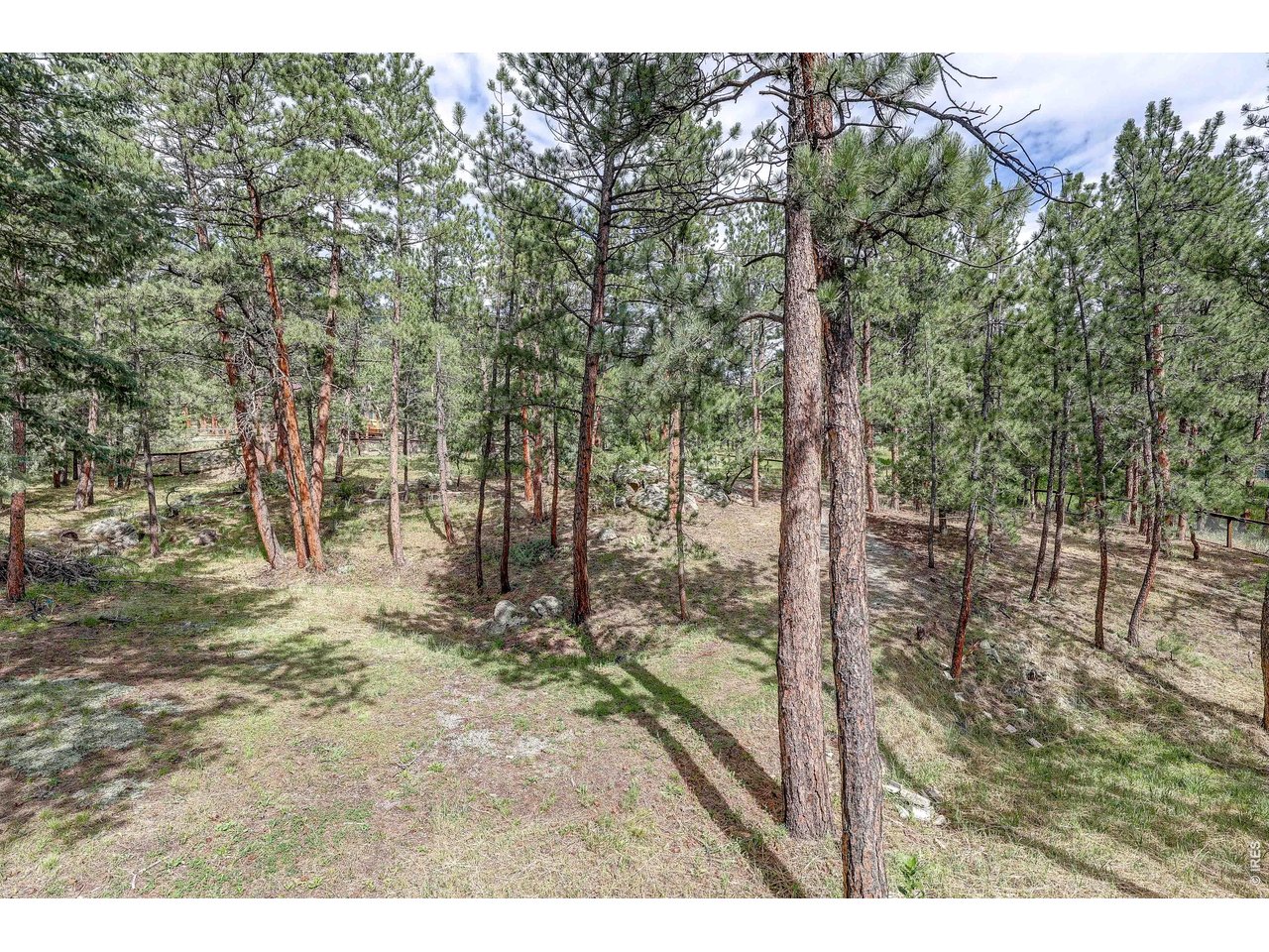 166 Cherokee Road Lyons, CO 80540 - Photo 16 of 42