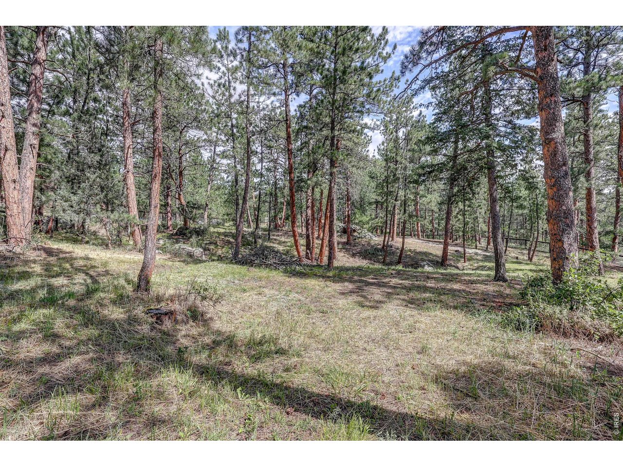 166 Cherokee Road Lyons, CO 80540 - Photo 39 of 42