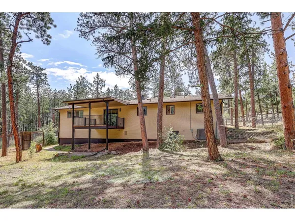 a view of a forest with trees in the background
