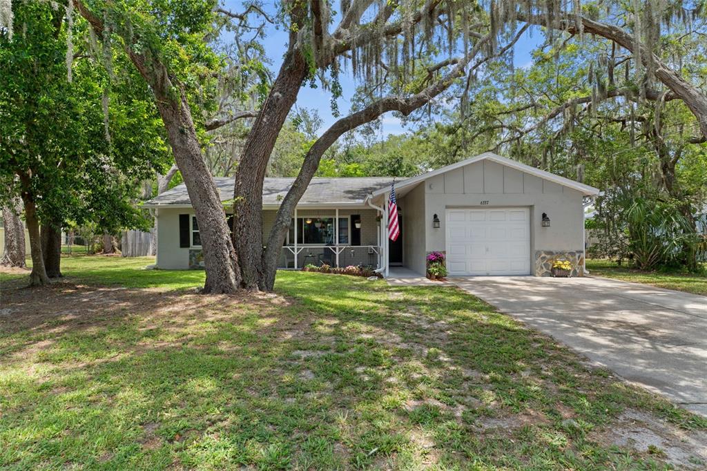 6337 Radford Street Spring Hill, FL 34606 - Photo 3 of 41