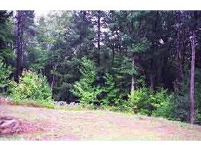 117 Walnut Hill Road Goffstown, NH 03045 - Photo 2 of 2