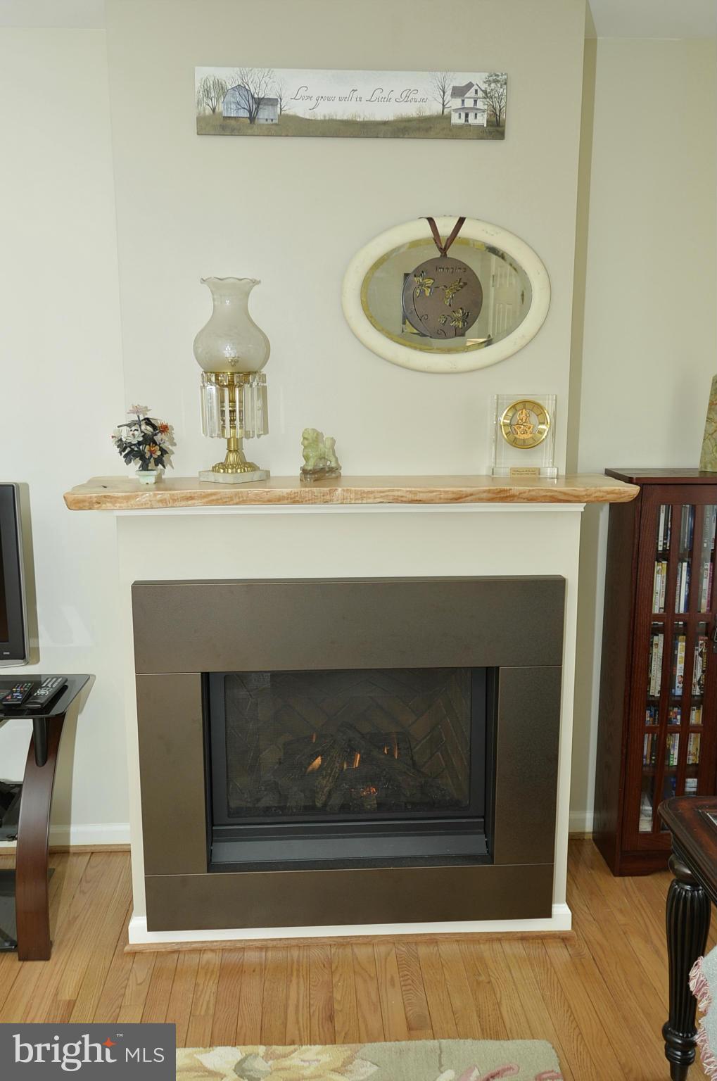 39805 The Narrows Road Waterford, VA 20197 - Photo 4 of 15 Living Room