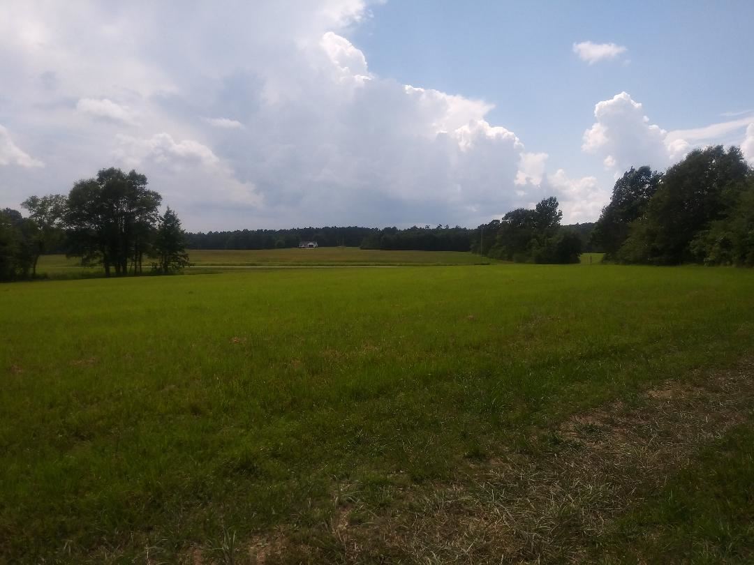 380 Bethlehem Road Adamsville, TN 38310 - Photo 1 of 12 Gallery Image 1