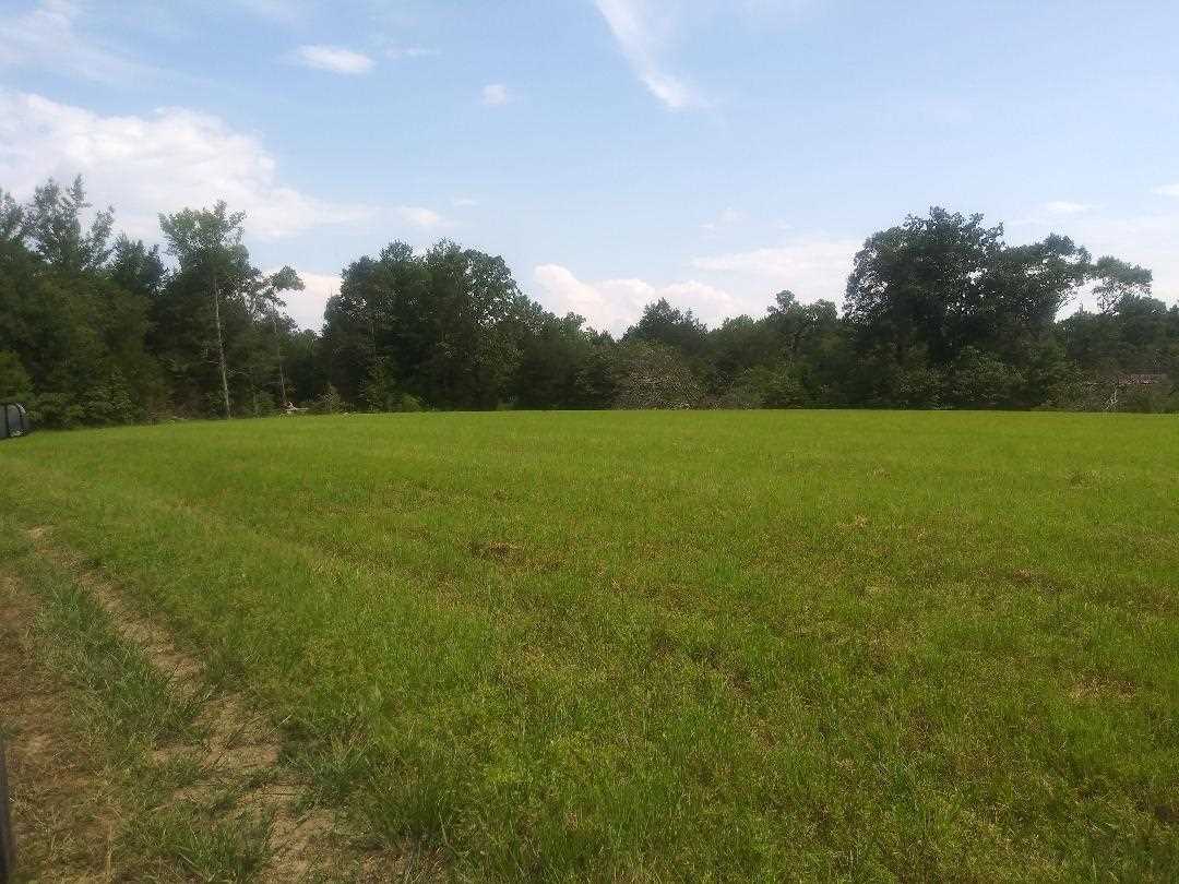 380 Bethlehem Road Adamsville, TN 38310 - Photo 2 of 12 Gallery Image 2