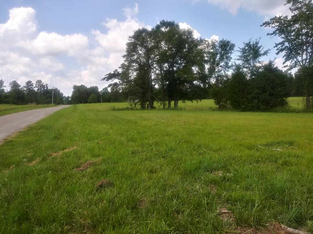 380 Bethlehem Road Adamsville, TN 38310 - Photo 3 of 12 Gallery Image 3